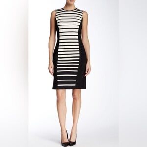 J. McLaughlin Josie Sleeveless Crew Neck‎ Fit Dress Black & White Striped